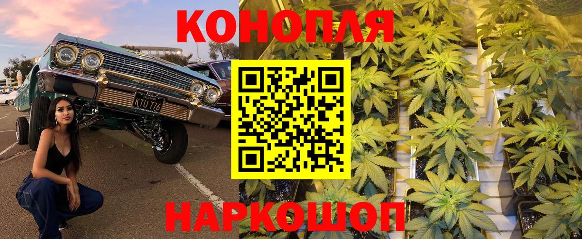 Канабис марихуана  Каннабис план  Псков  Вход с VPN  Бошки марихуана марихуана 